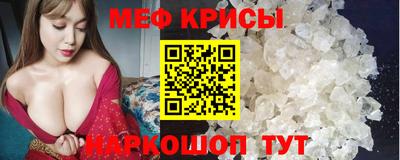 индика Гусев