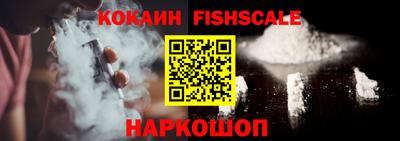 индика Гусев