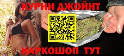индика Гусев