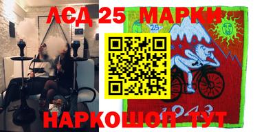 индика Гусев