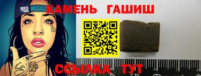 индика Гусев