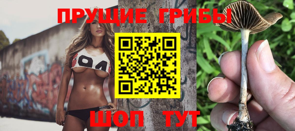 Псилоцибиновые грибы Psilocybine cubensis Лыткарино